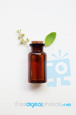 Holy Basil Essential Oil In A Glass Bottle With Fresh Holy Basil… Stock Photo