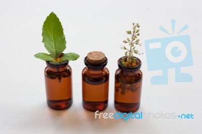 Holy Basil Essential Oil In A Glass Bottle With Fresh Holy Basil… Stock Photo