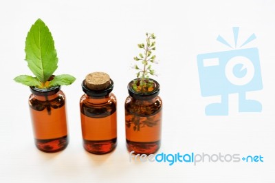 Holy Basil Essential Oil In A Glass Bottle With Fresh Holy Basil… Stock Photo