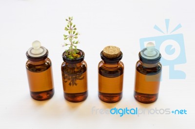 Holy Basil Essential Oil In A Glass Bottle With Fresh Holy Basil… Stock Photo