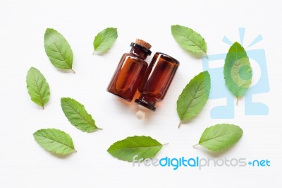 Holy Basil Essential Oil With  Fresh Leaves Stock Photo