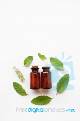 Holy Basil Essential Oil With  Fresh Leaves Stock Photo