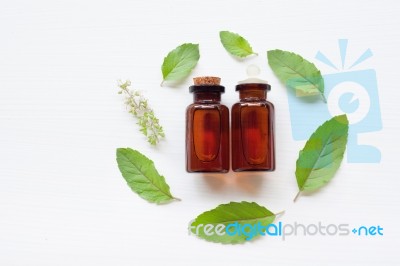 Holy Basil Essential Oil With  Fresh Leaves Stock Photo