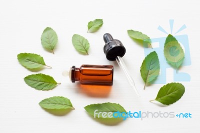 Holy Basil Essential Oil With  Fresh Leaves Stock Photo