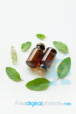 Holy Basil Essential Oil With Leaves Stock Photo