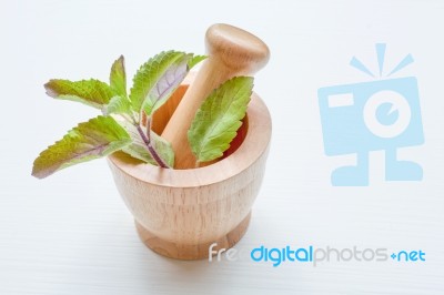 Holy Basil  In Wooden Mortar On White Background Stock Photo