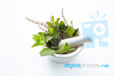 Holy Basil  Leaves In Porcelain Mortar On White Wooden Backgroun… Stock Photo