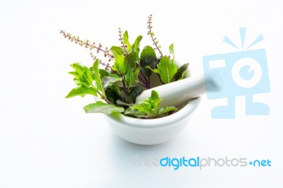 Holy Basil Leaves In Porcelain Mortar On White Wooden Background… Stock Photo