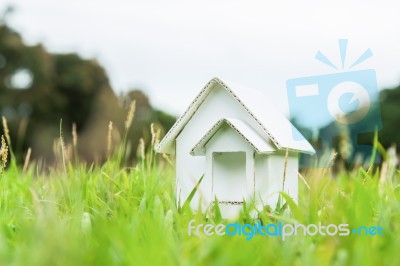 Home Artificial Stock Photo