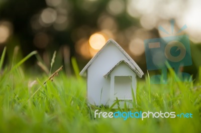 Home Artificial Stock Photo