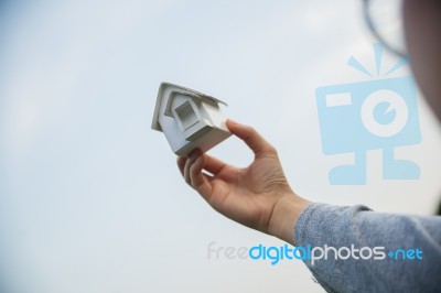 Home Artificial Stock Photo