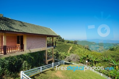 Home In The Mountain With Tea Plantation Blue Sky Background Stock Photo