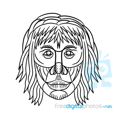 Homo Habilis Face Front Drawing Stock Image