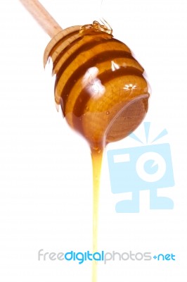 Honey Dipper Stock Photo