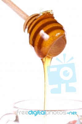 Honey Dipper Stock Photo