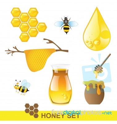 Honey Set On White Background Stock Image