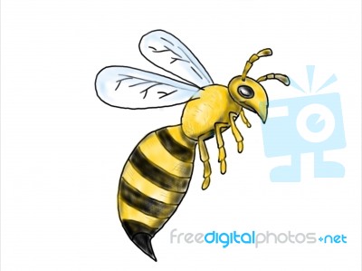 Honeybee Flying Drawing Stock Image