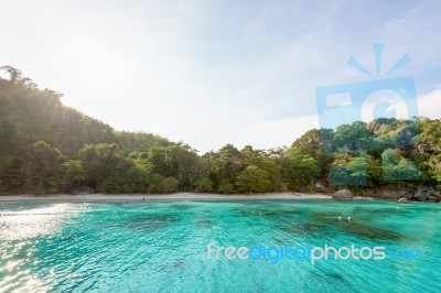 Honeymoon Bay And Beach In Similan Island, Thailand Stock Photo