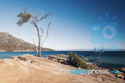 Honeymoon Bay In Freycinet National Park Stock Photo