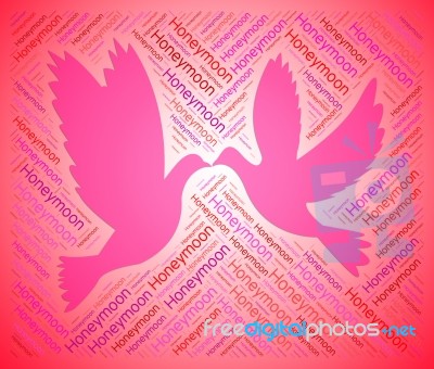 Honeymoon Doves Shows Love Birds And Destination Stock Image