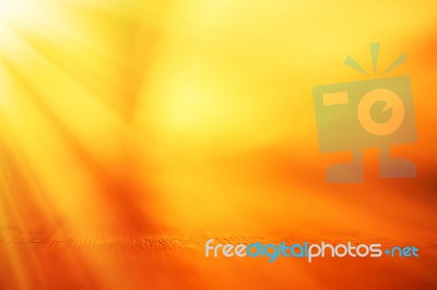 Horizontal Dof Surface With Light Leak Background Stock Photo