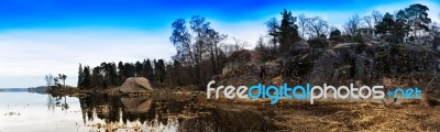 Horizontal Wide Northern Park Landscape Background Stock Photo