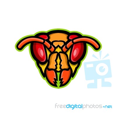 Hornet Head Mascot Stock Image