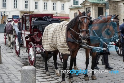 Horse And Carriage For Hire In Vienna Stock Photo