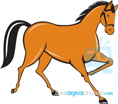 Horse Cantering Side Cartoon Stock Image