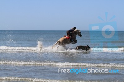 Horse Jumping Into The Waves Stock Photo