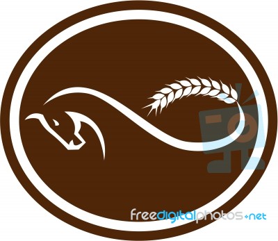 Horse Malt Tail Mobius Strip Oval Retro Stock Image