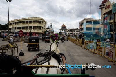 Horse Pulling A Carriage Through A City Stock Photo