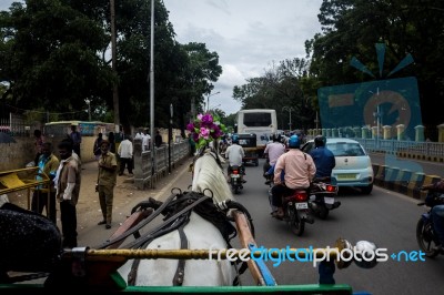 Horse Pulling A Carriage Through The City Stock Photo