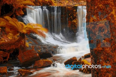 Horseshoe Falls In Mount Field National Park Stock Photo