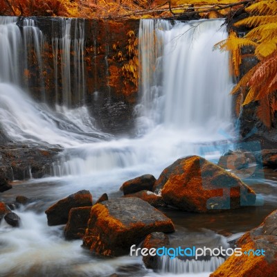 Horseshoe Falls In Mount Field National Park Stock Photo