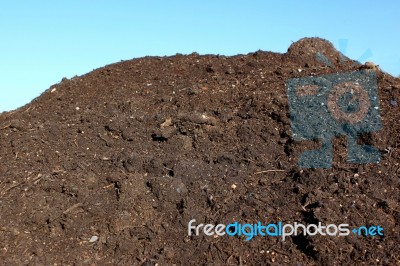 Horticultural Compost Stock Photo