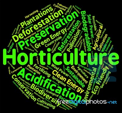 Horticulture Word Represents Flower Garden And Agricultural Stock Image