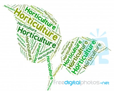 Horticulture Word Represents Flower Garden And Agricultural Stock Image