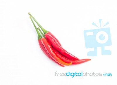 Hot Red Chili Or Chilli Pepper Isolated On White Background Stock Photo