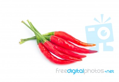 Hot Red Chili Or Chilli Pepper Isolated On White Background Stock Photo