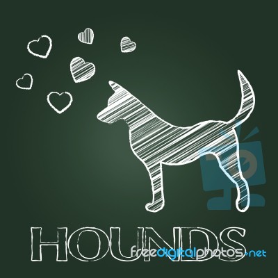 Hound Dog Indicates Dogs Canines And Hounds Stock Image