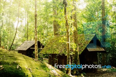 House And Stone In Forest Stock Photo