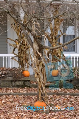 House Decorated With Pumpkins. New England. Usa Stock Photo