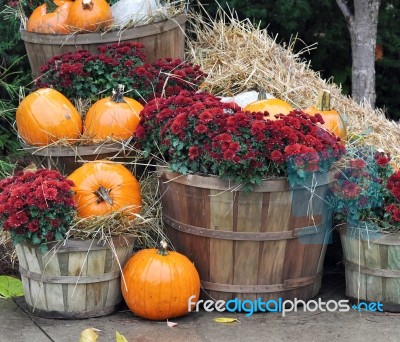 House Decorated With Pumpkins. New England. Usa Stock Photo