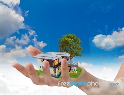 House With Tree In Hand Stock Photo