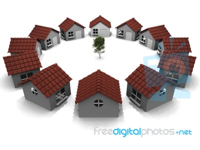 Houses Around Tree Stock Image