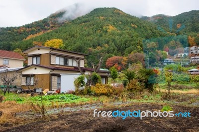 Houses Near The Mountain At Kawaguchiko Stock Photo