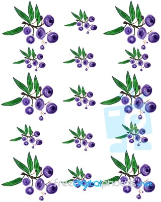 Huckleberry Pattern 2 Stock Image