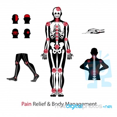 Human Body With Area Of Pain Stock Image