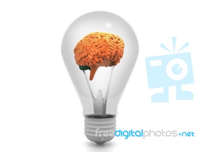 Human Brain Inside A Glowing Electrical Bulb Stock Image